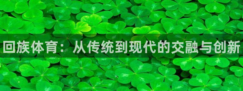 vsport体育官方正版app集团logo:回族体育:从传统