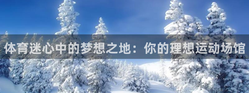 vsport体育官方正版app集团:体育迷心中的梦想之地:你