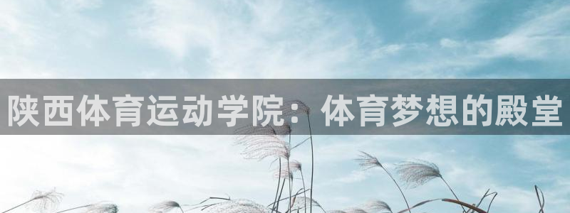 vsport体育官方正版app代理:陕西体育运动学院:体育梦